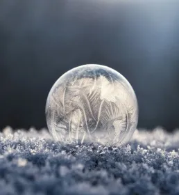 Froid