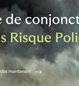 Risque Politique