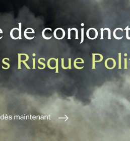 Risque Politique