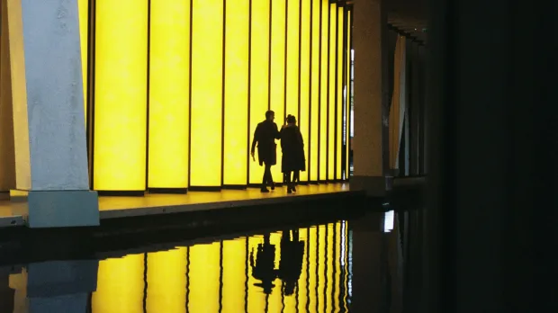 Bureaux reflets jaunes