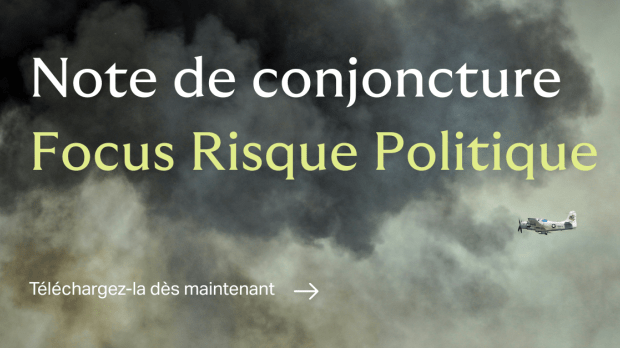Risque Politique
