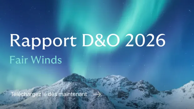 D&O