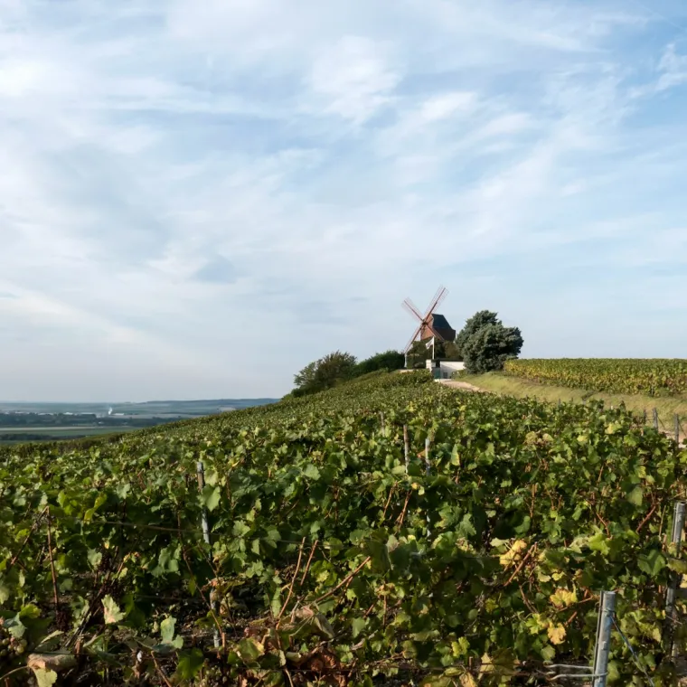 Photo of Bureau de Châlons-en-Champagne