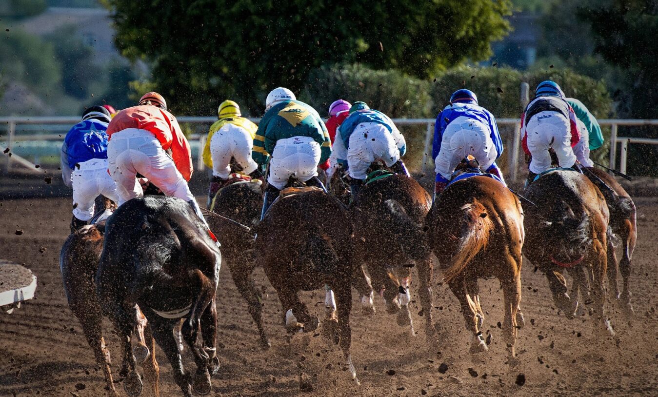 equestrian-insurance-horse-racing