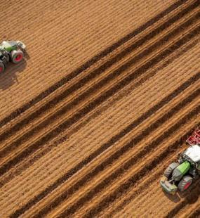 aerial view of tractors cutting corn
