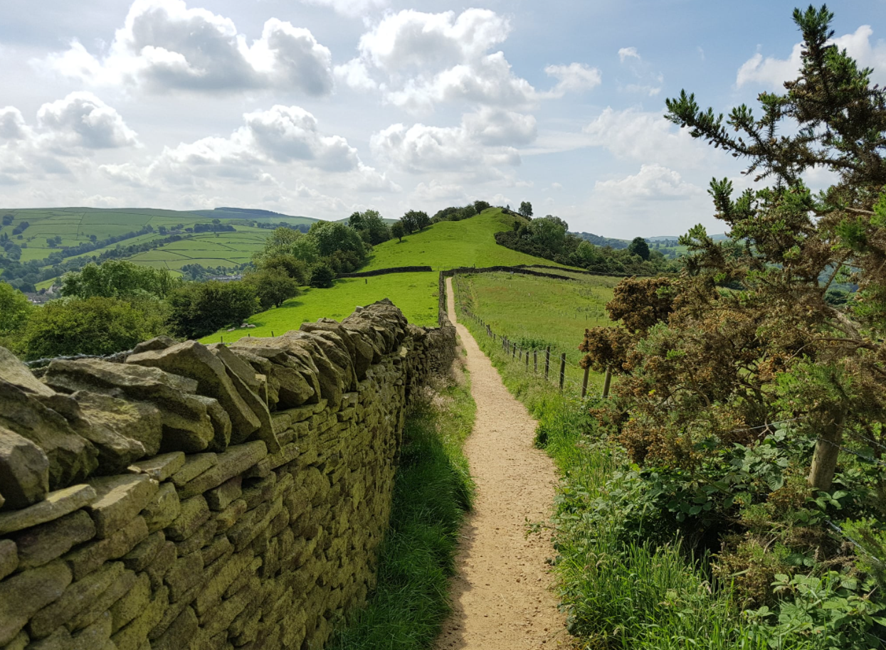 Countryside rambling path