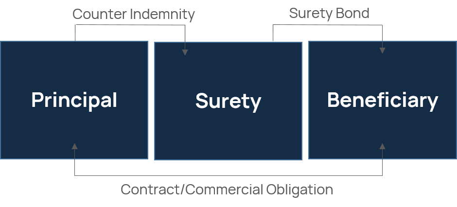 surety diagram