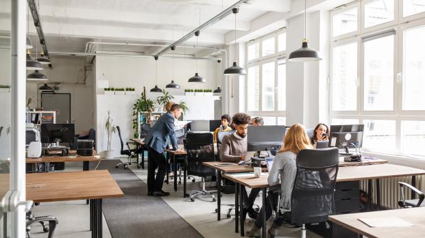 A team of employees work in a brightly lit open plan office
