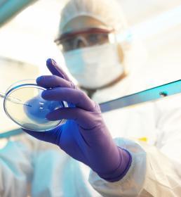 Medical researcher observing petri dish 