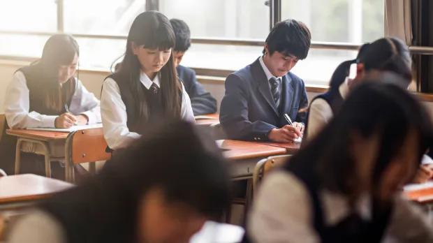 Education sector capabilities