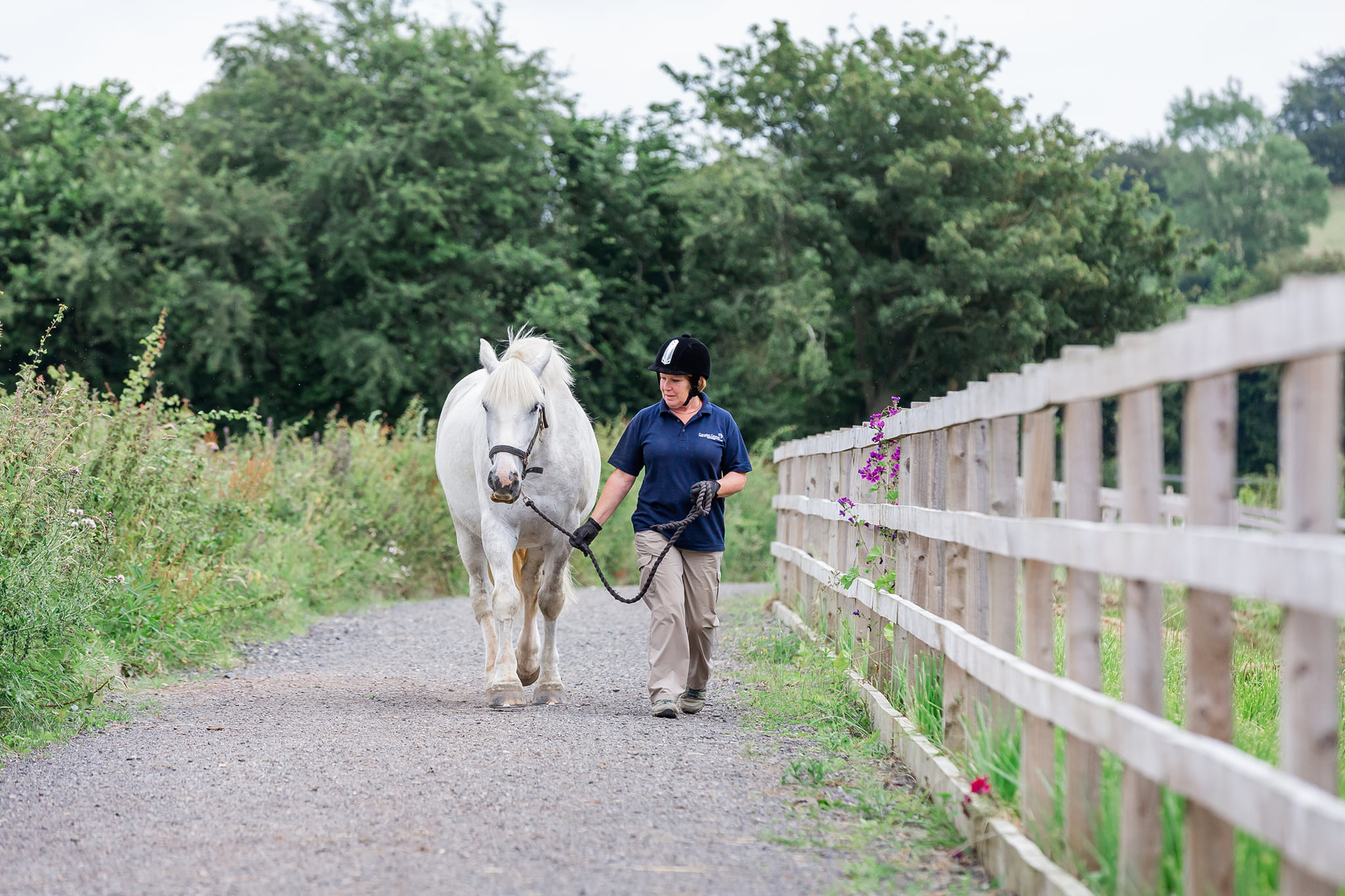 Riding instructor and horse