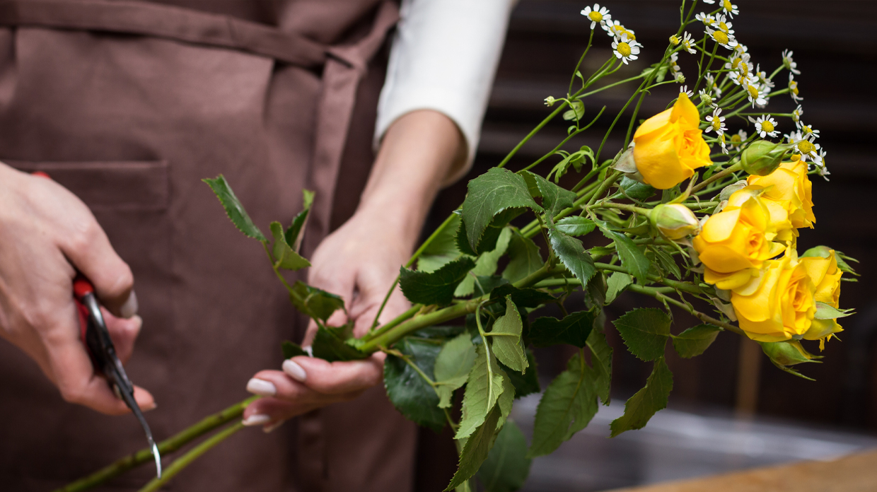 A woman skillfully trims vibrant yellow roses in a serene garden setting, showcasing her gardening expertise and passion.