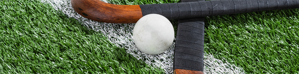 Two hockey sticks and a hockey ball on a white line