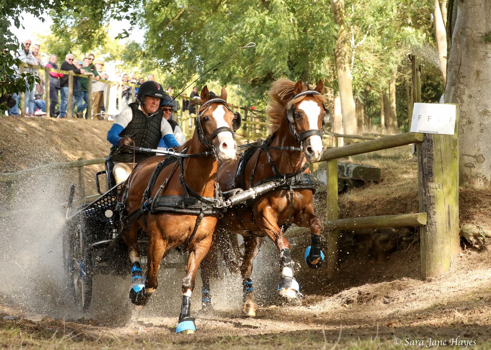 Man driving a carriage with horses