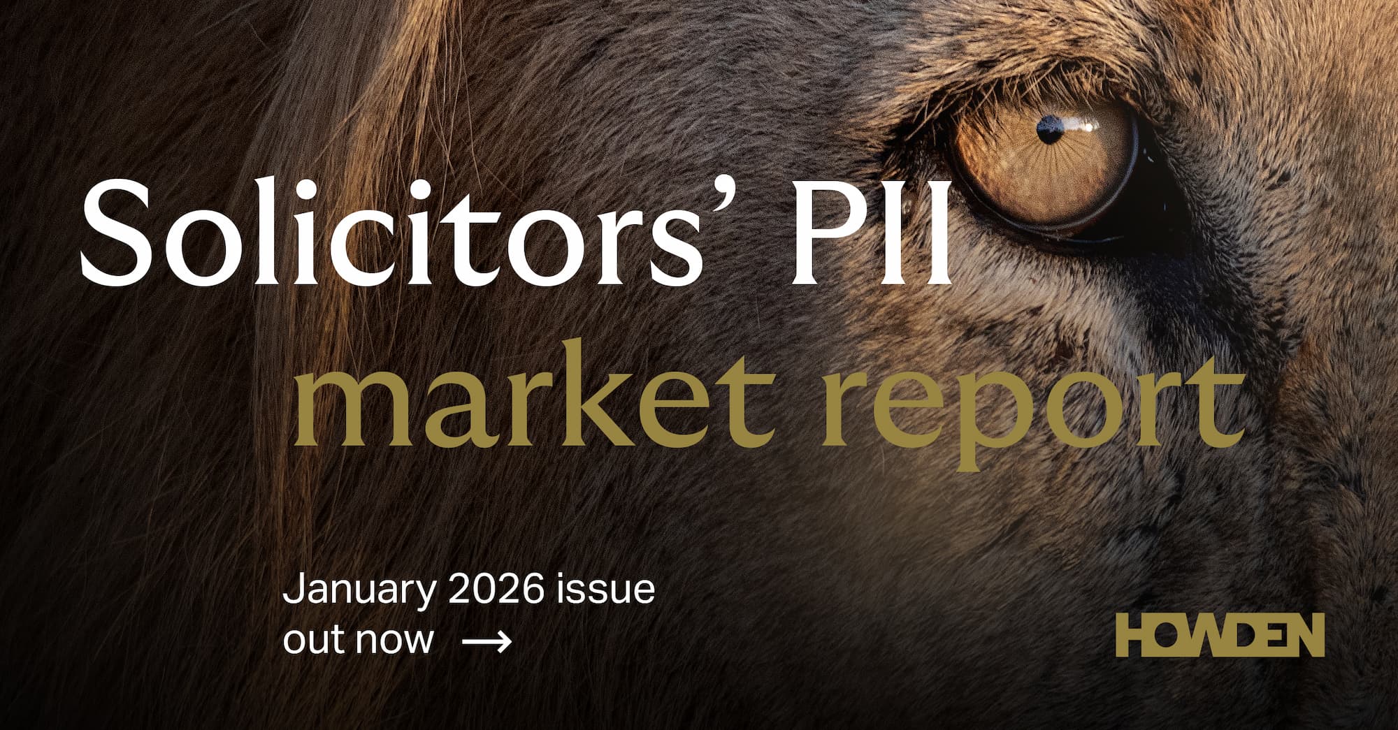 Solicitors' PII market report - Jan 2026