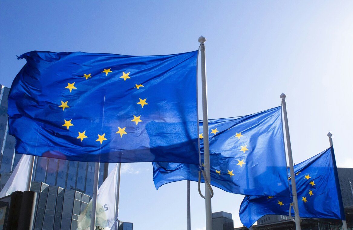 European Union Flag
