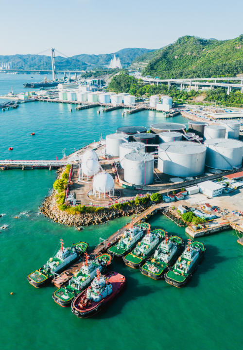 Docked ships