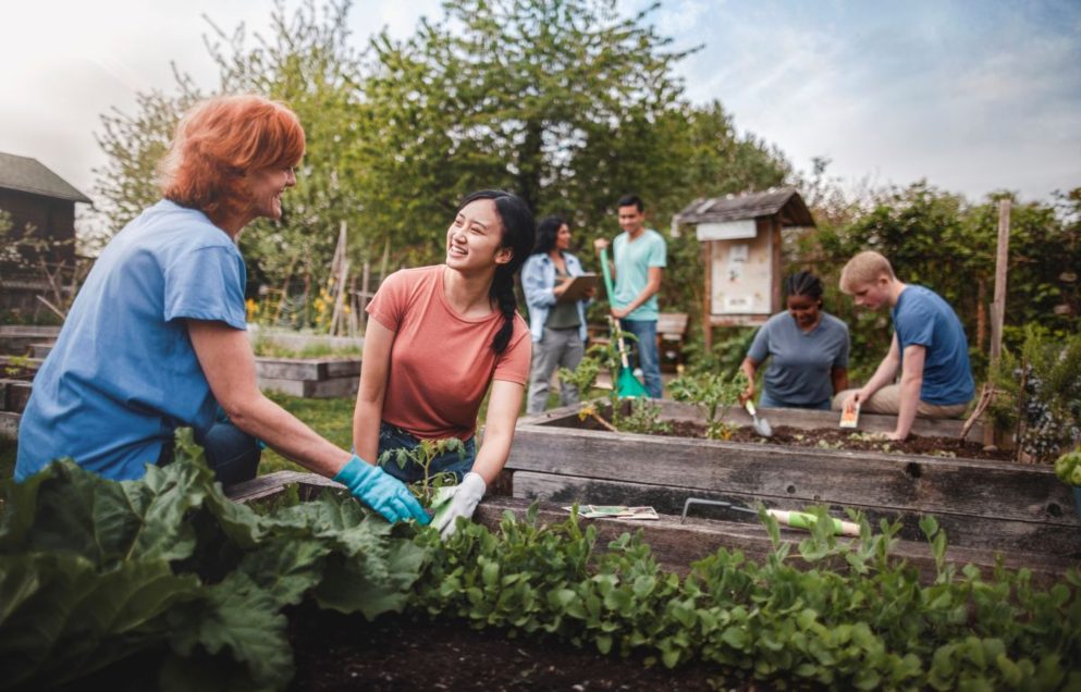 community gardening