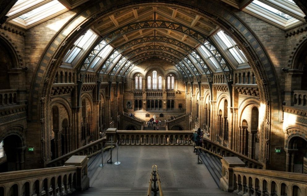 museum foyer