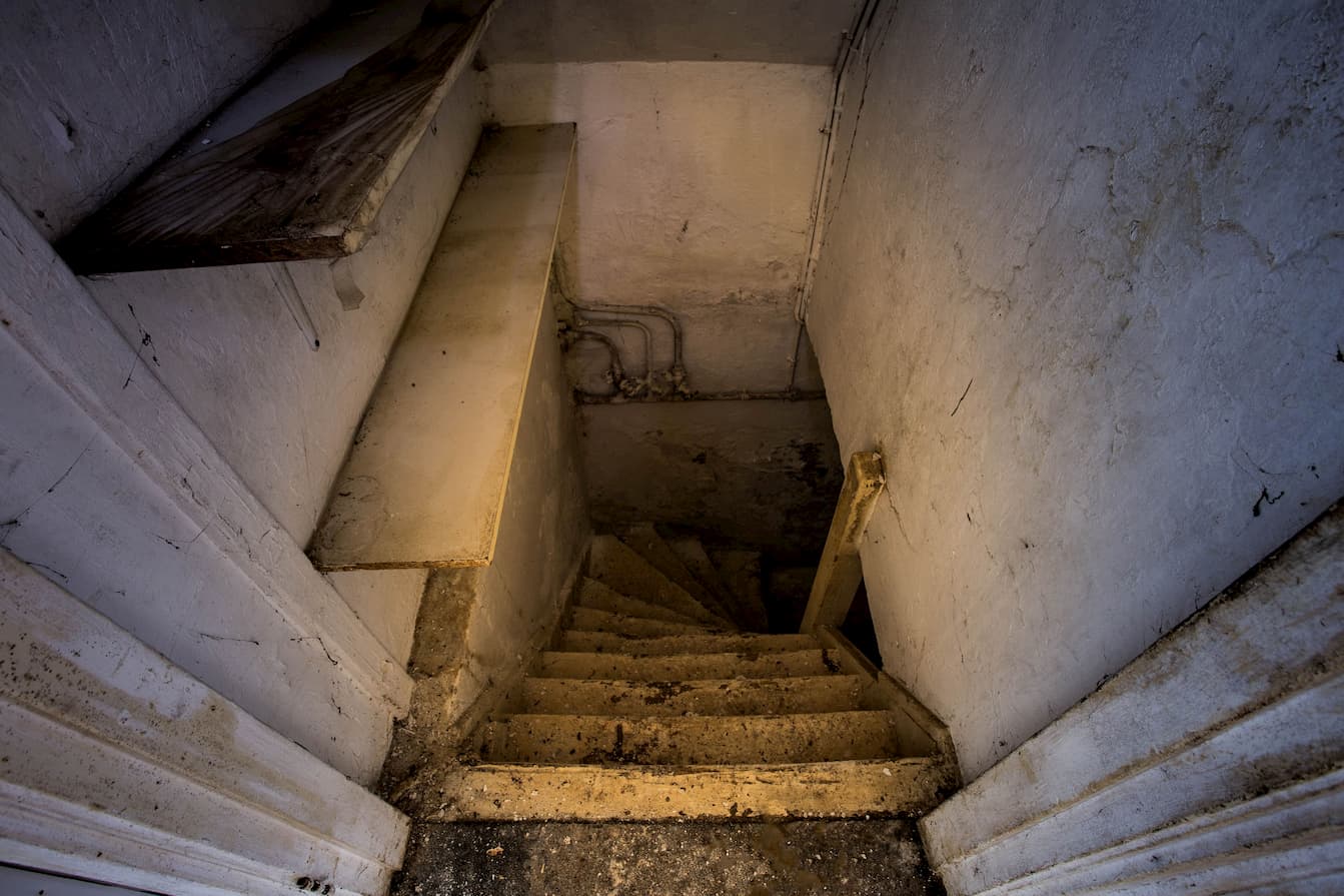 a dark cellar