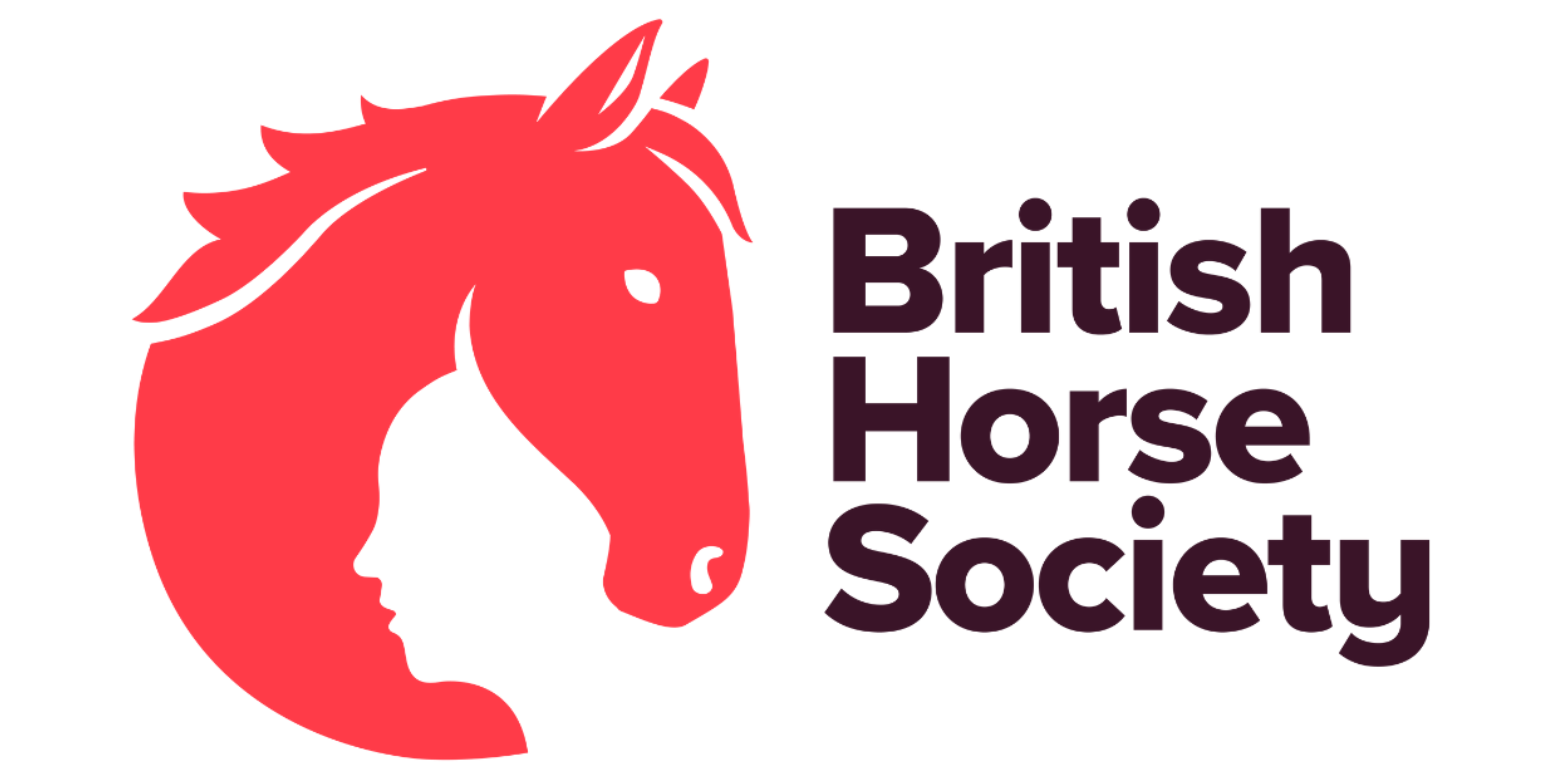 BHS logo