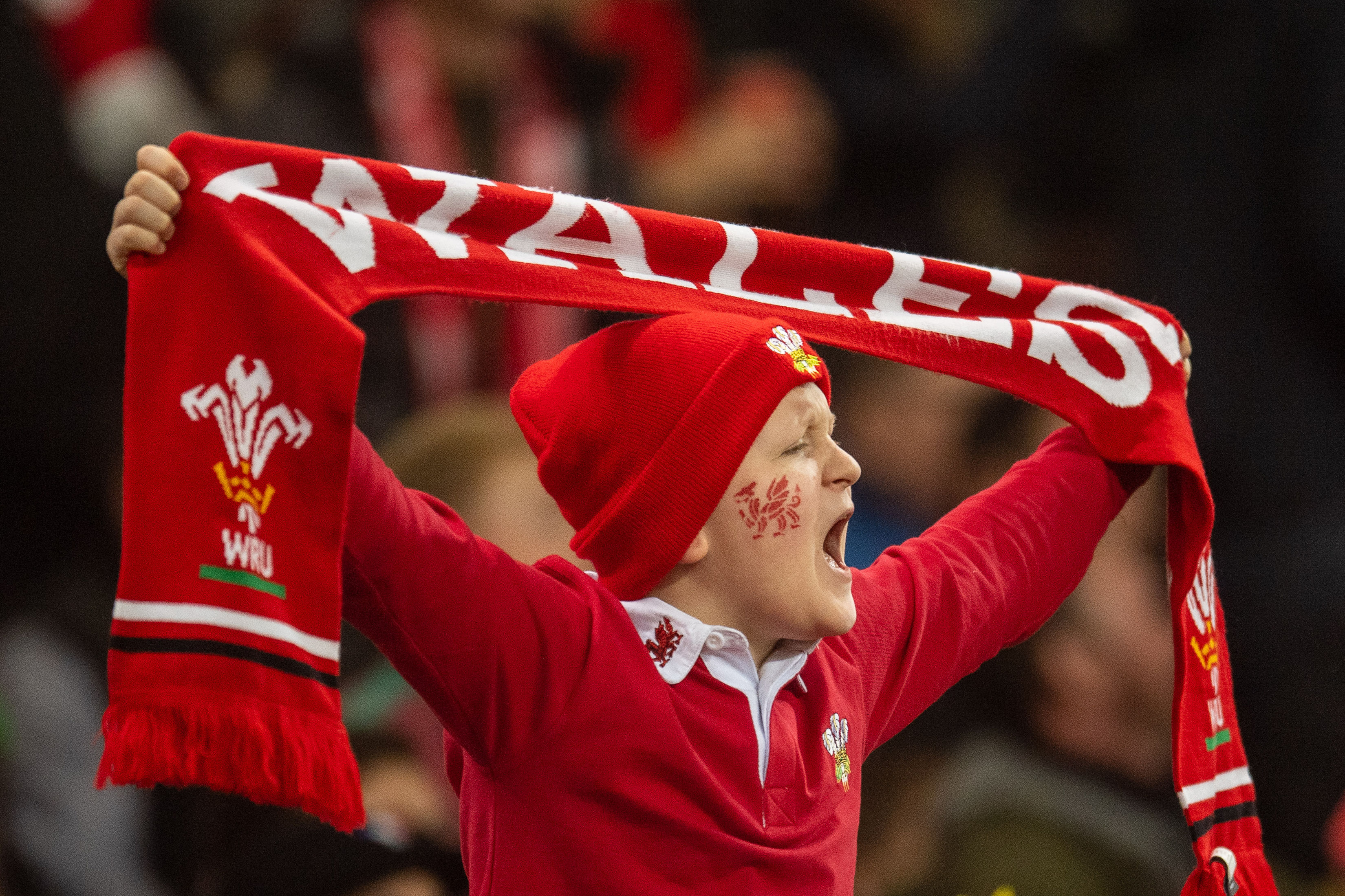 Wales Rugby fan at a match
