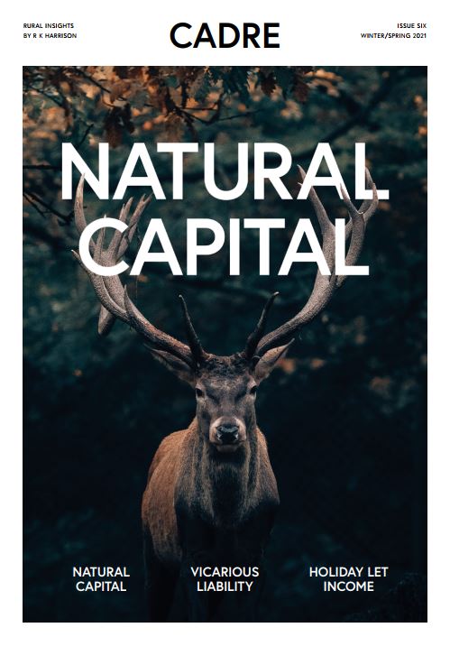 cadre issue 6