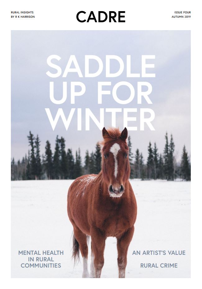 cadre issue 4