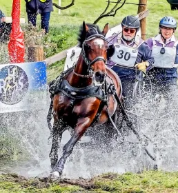 Howden Britishcarriage driving members racing horses
