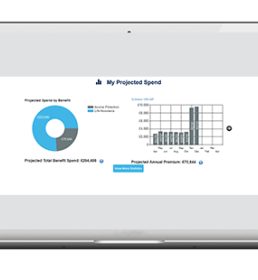 Empower projected spend screenshot