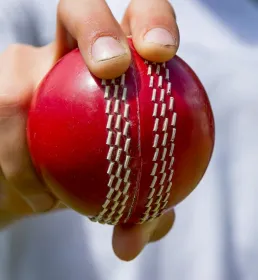 Cricket ball in hand