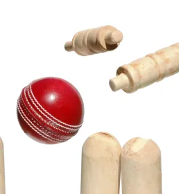Cricket ball hitting the stumps