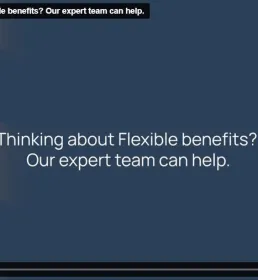what_are_flexible_benefits