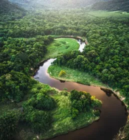 Climate and resillience