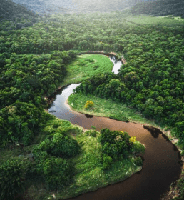 Climate and resillience