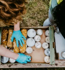Two people packing boxes with non-perishable goods