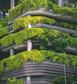 Architectural building with plants