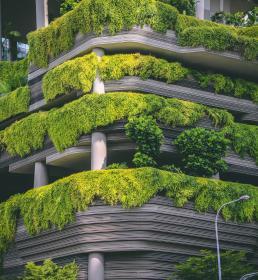 Architectural building with plants