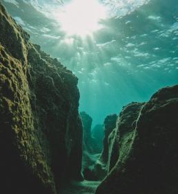 Underwater scene to represent Captives Services