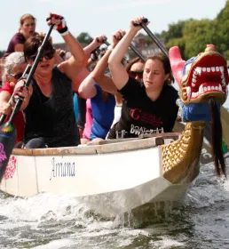 Group dragonboating with oars in water