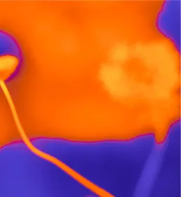Thermal imaging photo, zoomed in