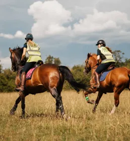 Two chestnut horses with female riders wearing high vis, in a field
