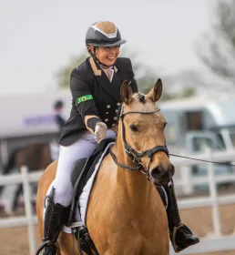 Rider on horse in sandschool