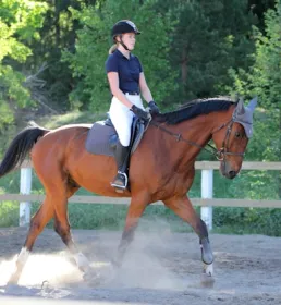 Woman riding horse in sand school