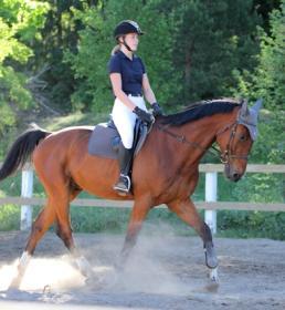Woman riding horse in sand school