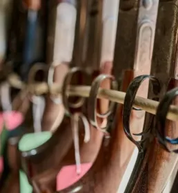 rack of shotguns
