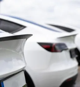 row of white cars