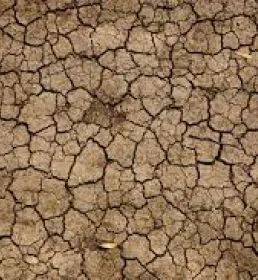 Illustrative image showing the ground after severe drought 