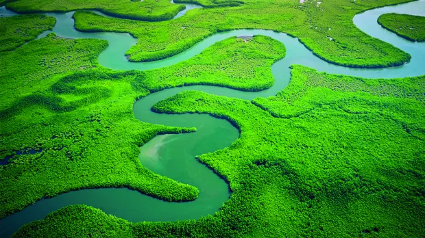Care river Care river