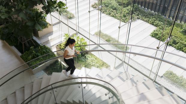 lady walking on the stairs
